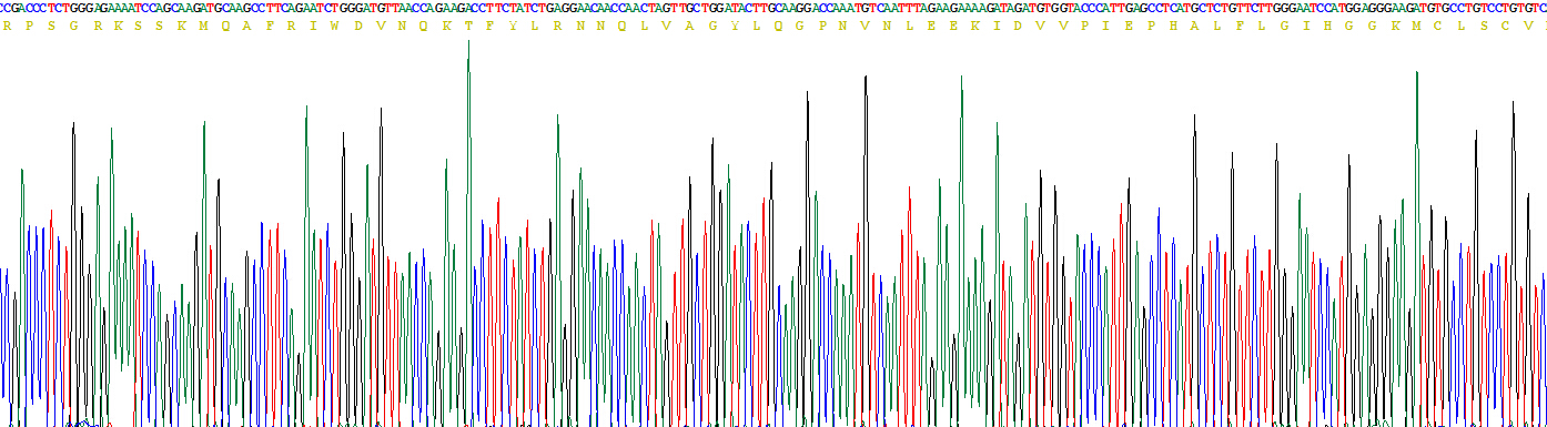 Recombinant Interleukin 1 Receptor Antagonist (IL1RA)