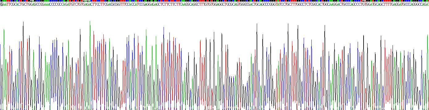 Recombinant Matrix Metalloproteinase 11 (MMP11)