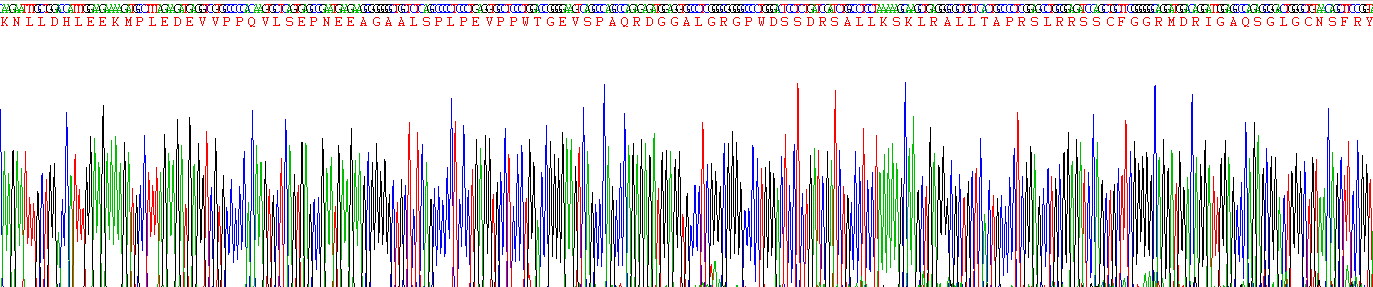 Recombinant Atrial Natriuretic Peptide (ANP)