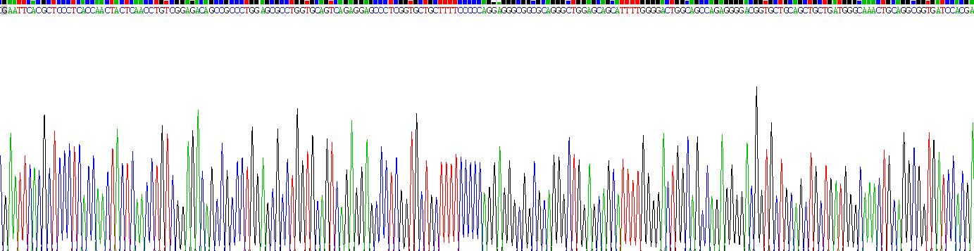 Recombinant Anti-Mullerian Hormone (AMH)