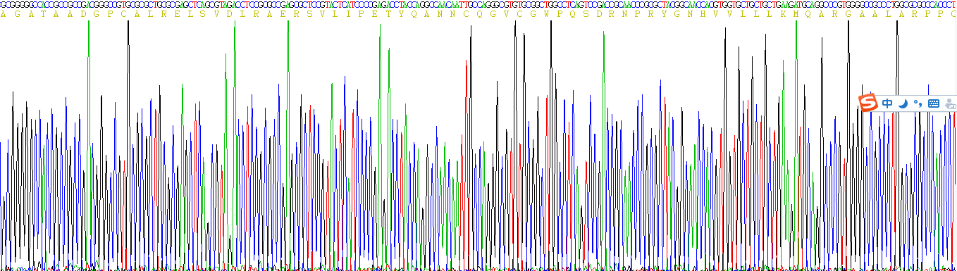 Recombinant Anti-Mullerian Hormone (AMH)