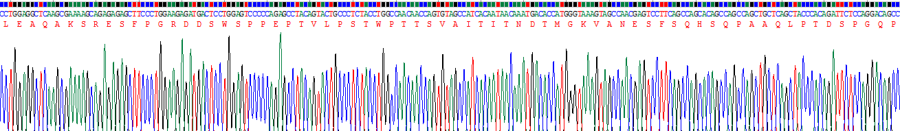 Recombinant Complement 1 Inhibitor (C1INH)