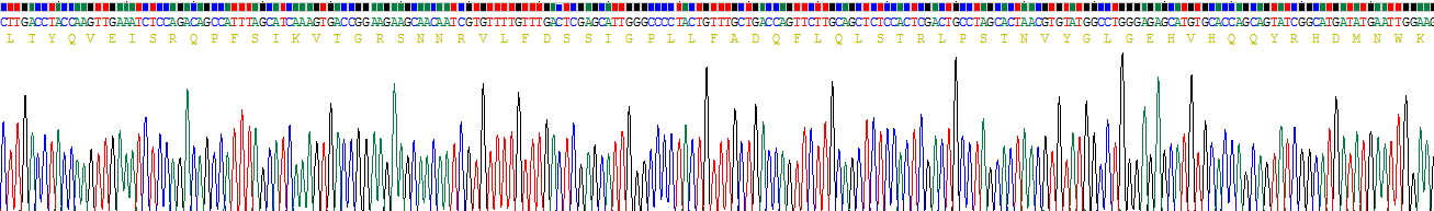 Recombinant Maltase-glucoamylase (MGAM)