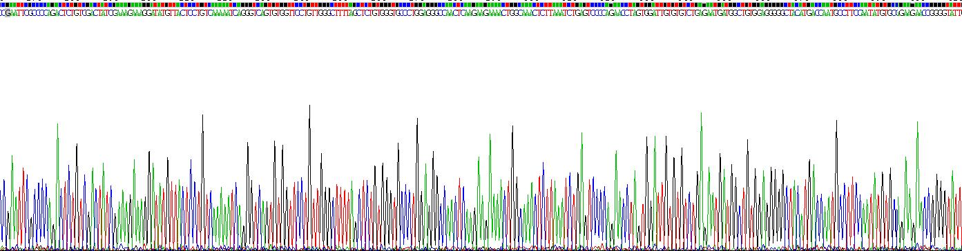 Recombinant Cathepsin K (CTSK)