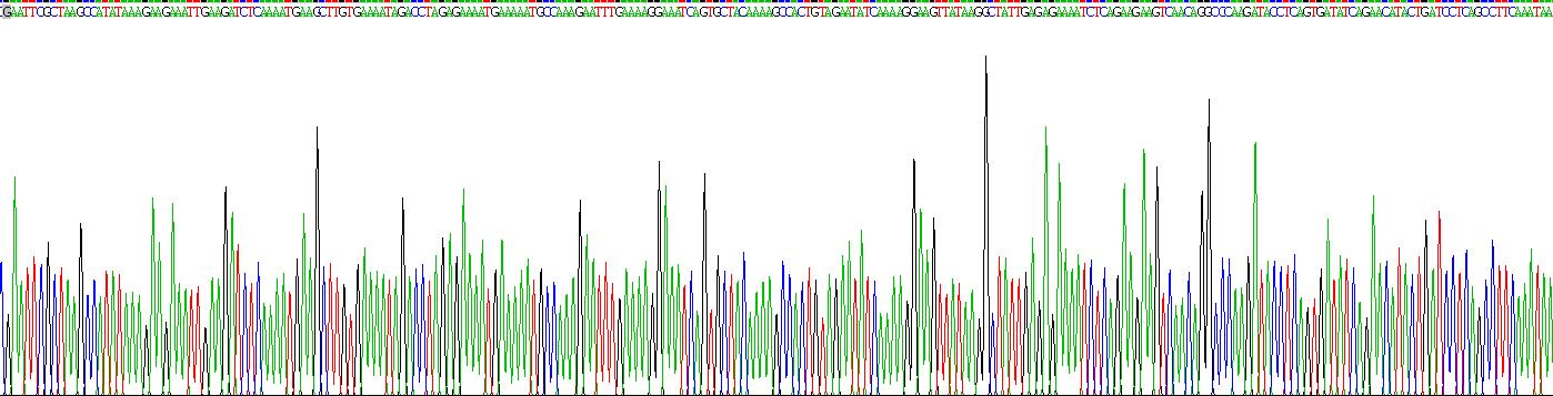 Recombinant Centromere Protein E (CENPE)