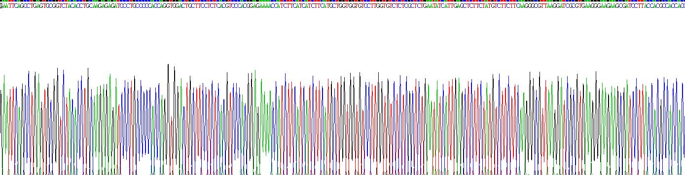 Recombinant Connexin 43 (CX43)