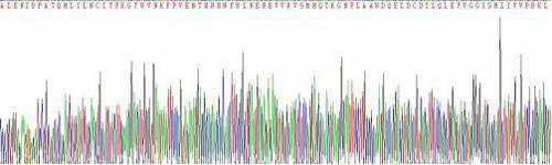 Recombinant Heparin Cofactor II (HCII)