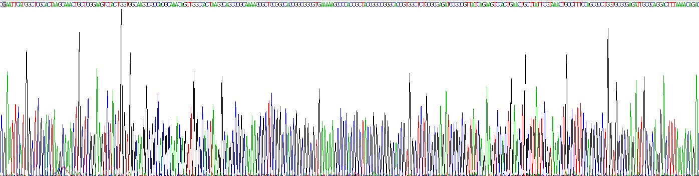 Recombinant Histone H3 (H3)