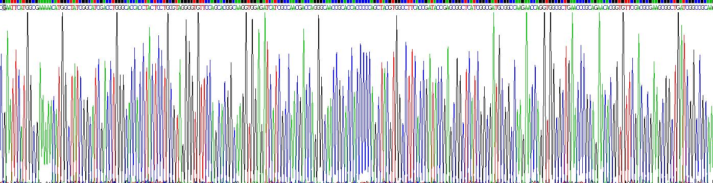 Recombinant Heat Shock 70kDa Protein 1B (HSPA1B)