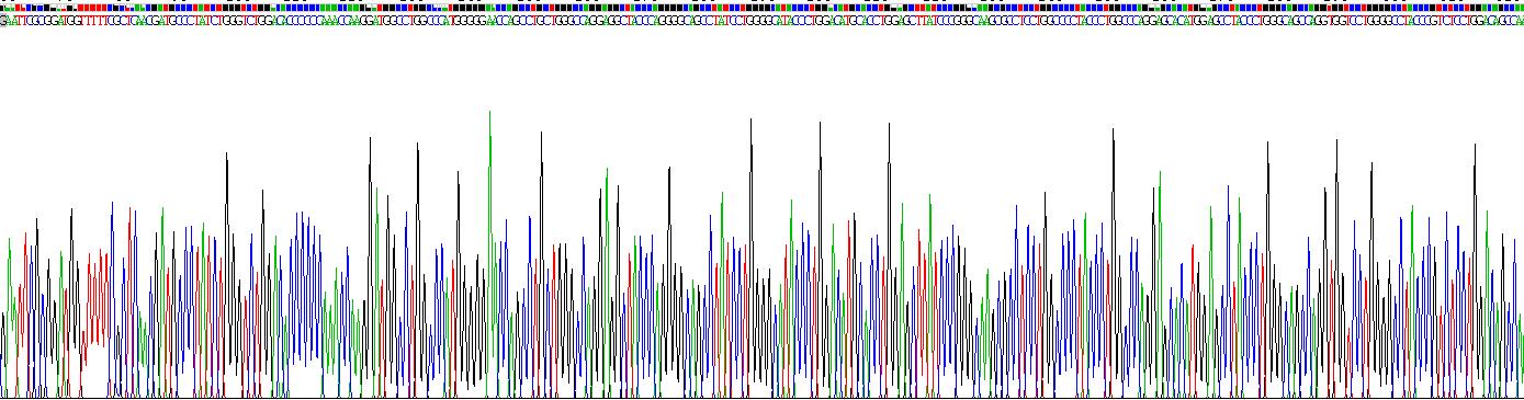 Recombinant Galectin 3 (GAL3)