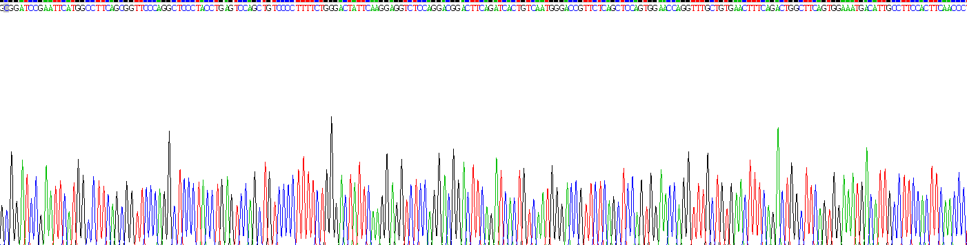 Recombinant Galectin 9 (GAL9)