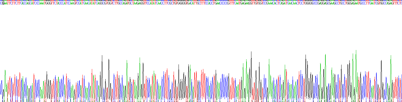 Recombinant Galectin 9 (GAL9)