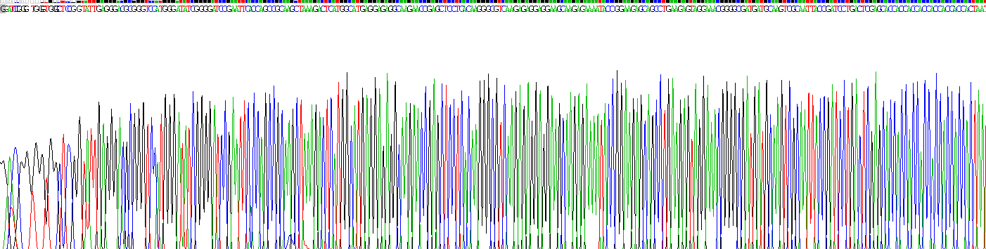 Recombinant Transition Protein 1 (TNP1)