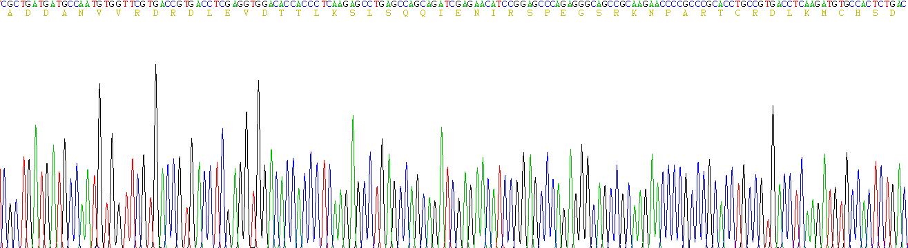 Recombinant Collagen Type I Alpha 1 (COL1a1)