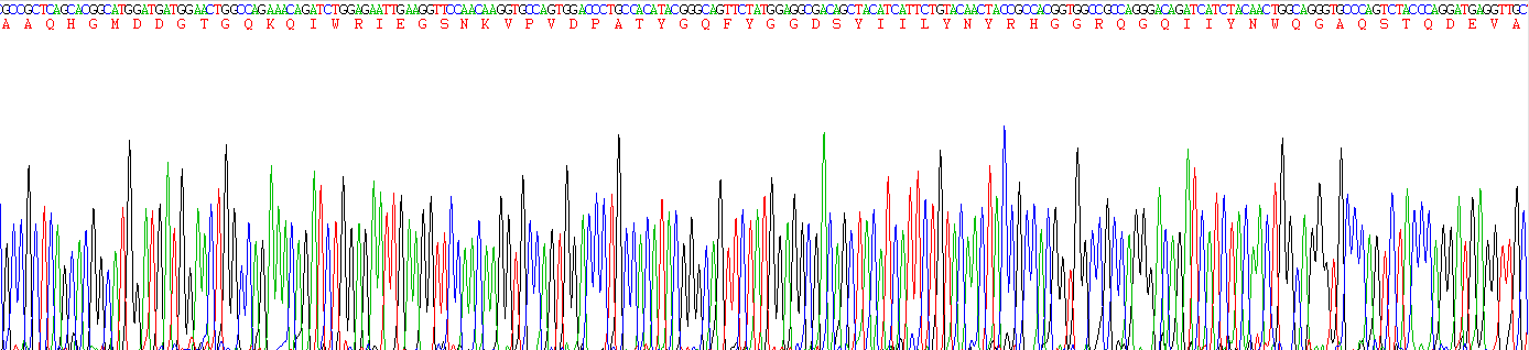 Recombinant Gelsolin (GSN)