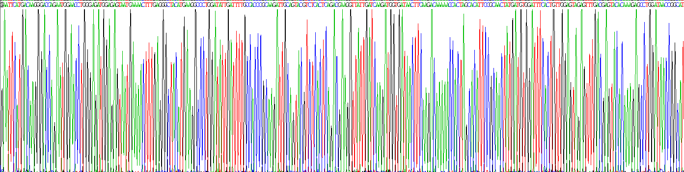 Recombinant Retinol Binding Protein 2, Cellular (RBP2)