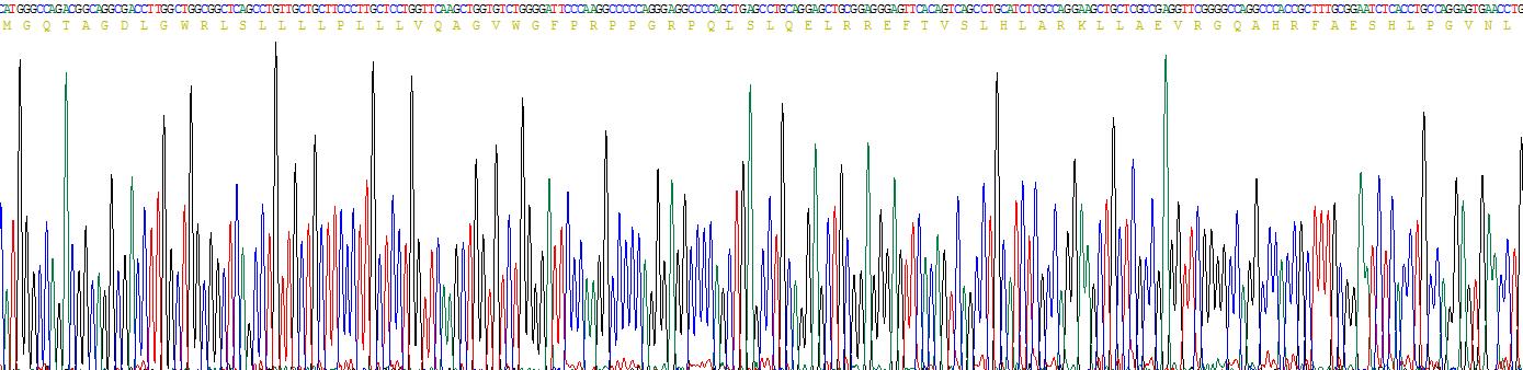 Recombinant Interleukin 27A (IL27A)