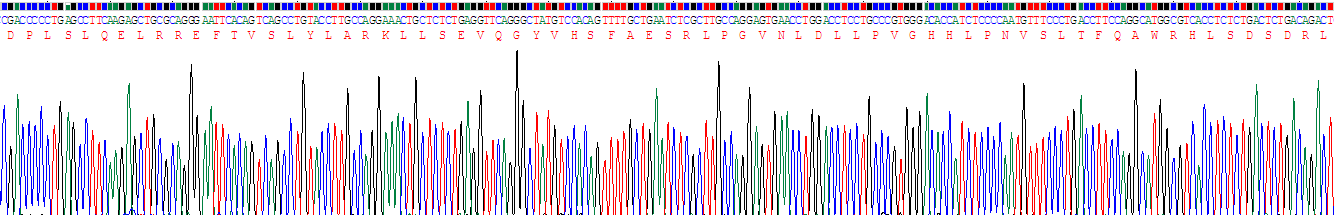 Recombinant Interleukin 27A (IL27A)