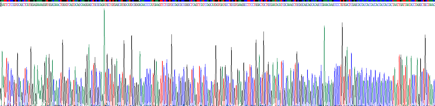 Recombinant Complement Component 3a (C3a)