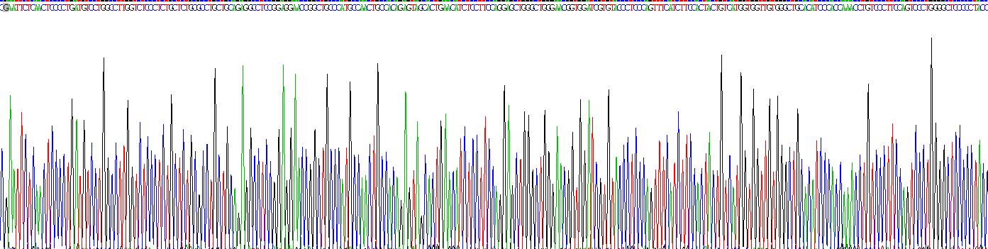 Recombinant Inhibin Alpha (INHa)