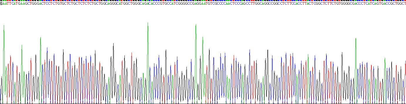 Recombinant Kallikrein 9 (KLK9)