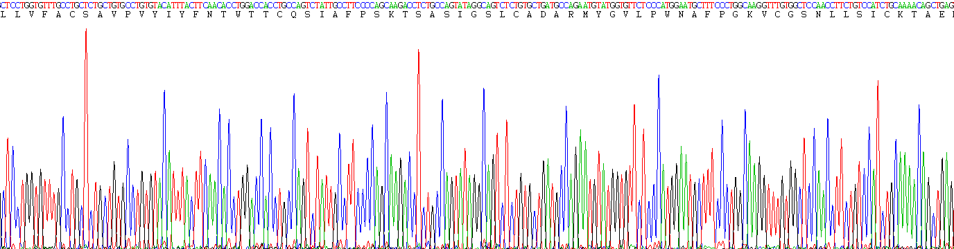 Recombinant Proteolipid Protein 1, Myelin (PLP1)