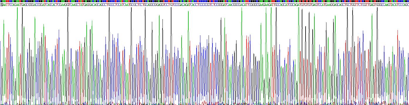 Recombinant Hepatocyte Nuclear Factor 4 Alpha (HNF4a)