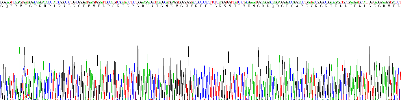 Recombinant Myelin Oligodendrocyte Glycoprotein (MOG)