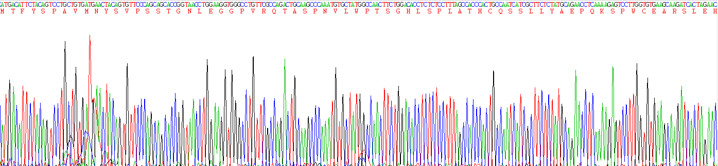 Recombinant Estrogen Receptor Beta (ERb)