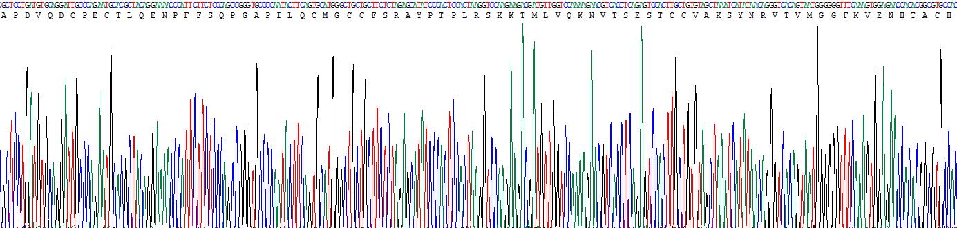 Recombinant Luteinizing Hormone (LH)