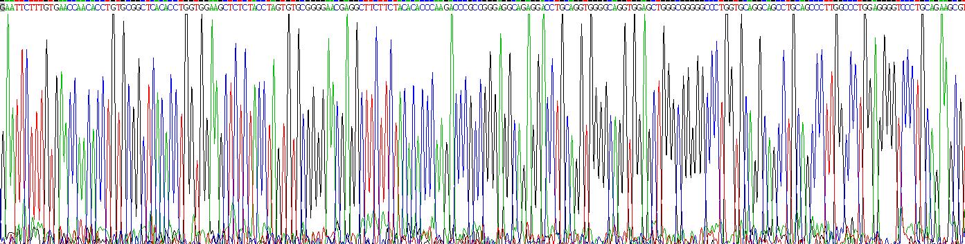 Recombinant Insulin (INS)