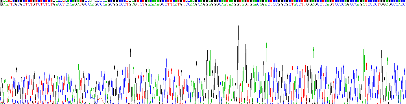 Recombinant Osteocalcin (OC)