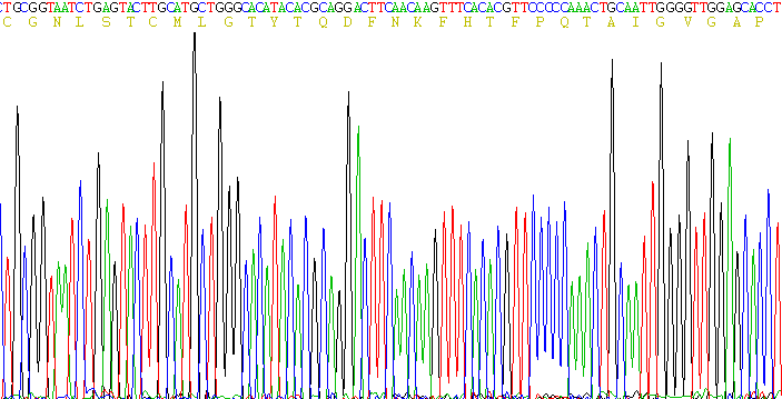 Recombinant Calcitonin (CT)