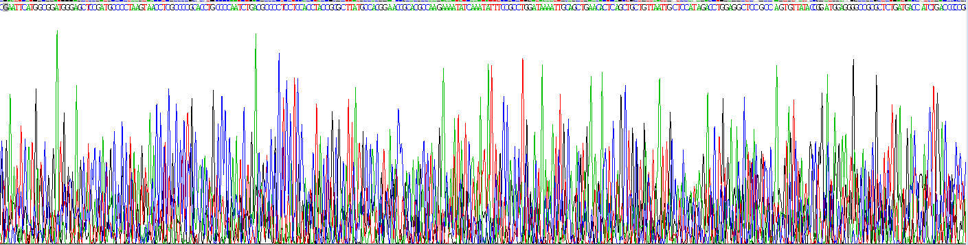 Recombinant Cardiac Troponin I (cTnI)