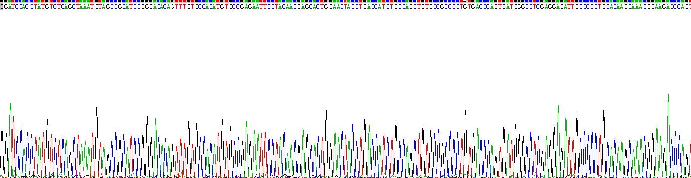 Recombinant Lymphotoxin Beta Receptor (LTbR)