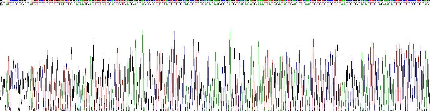 Recombinant Lymphotoxin Beta Receptor (LTbR)