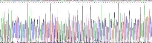 Recombinant Endothelin 1 (EDN1)