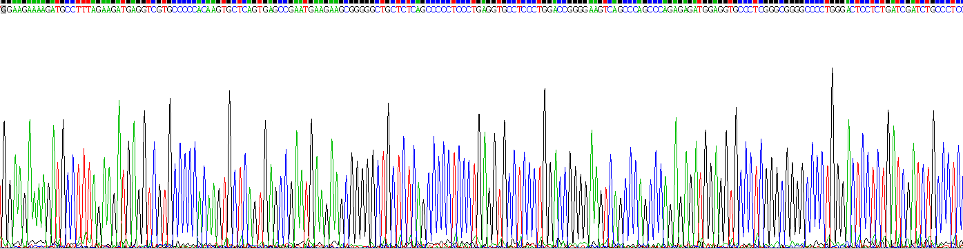 Recombinant N-Terminal Pro-Atrial Natriuretic Peptide (NT-ProANP)