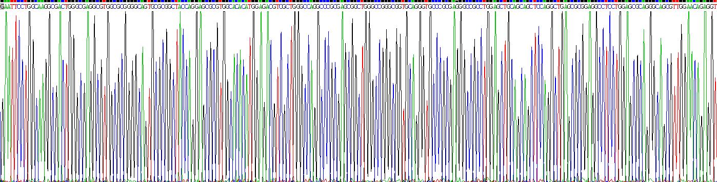 Recombinant Nestin (NES)