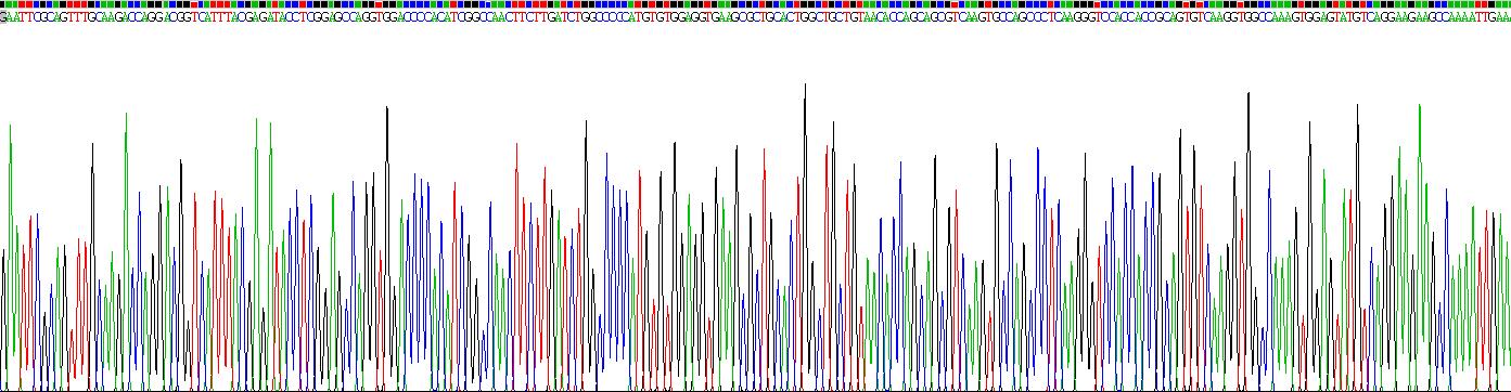 Recombinant Platelet Derived Growth Factor AA (PDGFAA)