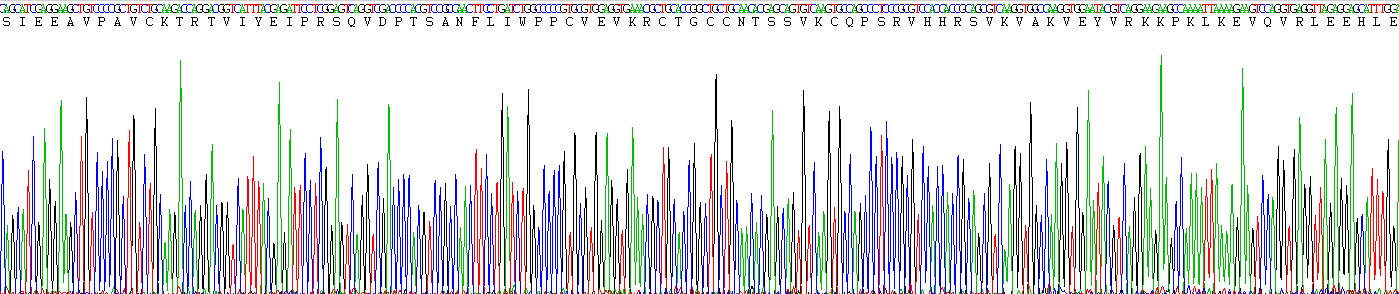 Recombinant Platelet Derived Growth Factor Subunit A (PDGFA)