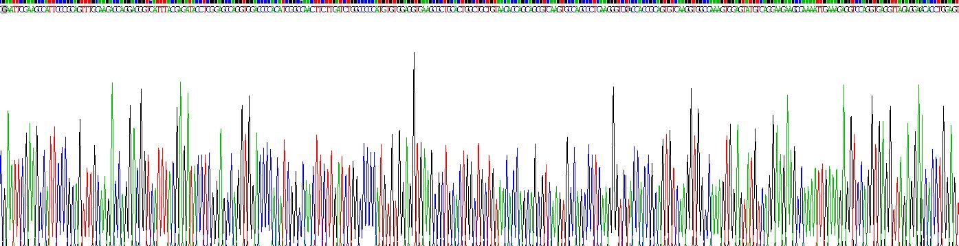 Recombinant Platelet Derived Growth Factor Subunit A (PDGFA)