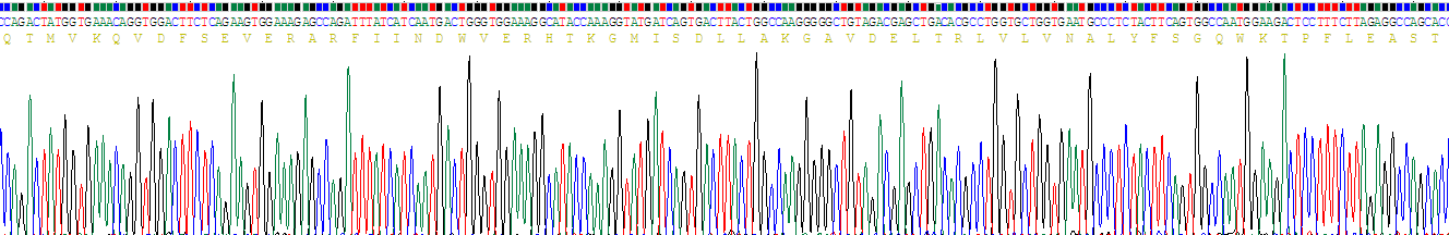 Recombinant Plasminogen Activator Inhibitor 1 (PAI1)