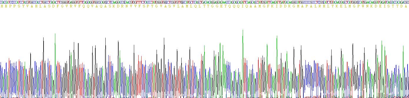 Recombinant Plasminogen Activator Inhibitor 1 (PAI1)