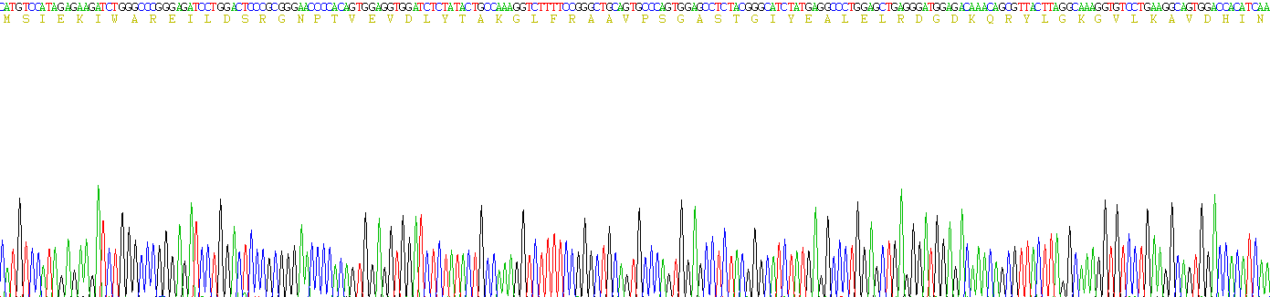 Recombinant Enolase, Neuron Specific (NSE)