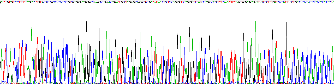 Recombinant Myelin Basic Protein (MBP)