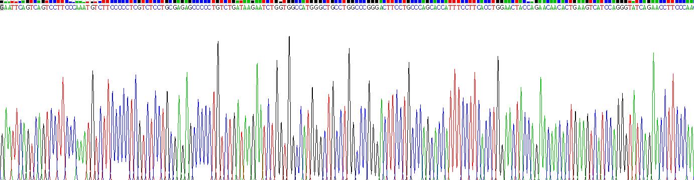 Recombinant Immunoglobulin M (IgM)