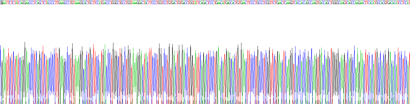 Recombinant Immunoglobulin E (IgE)