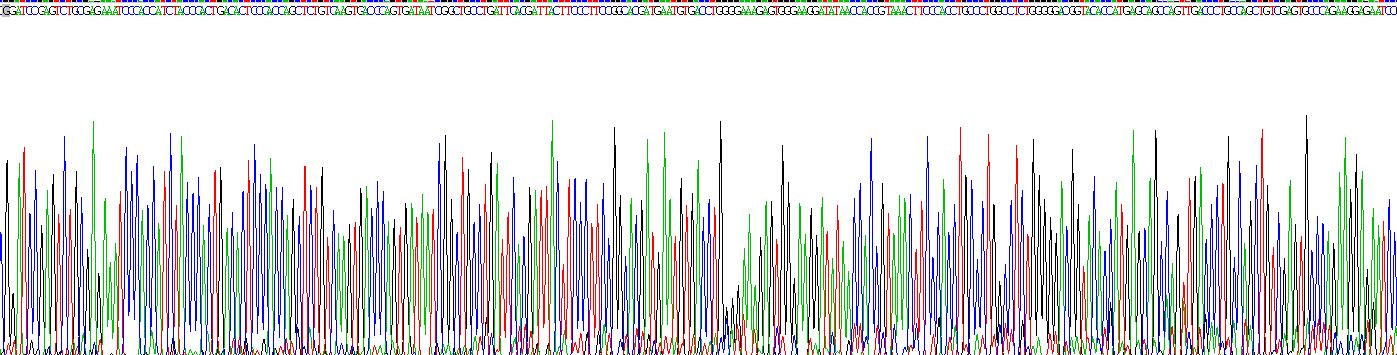 Recombinant Immunoglobulin A (IgA)