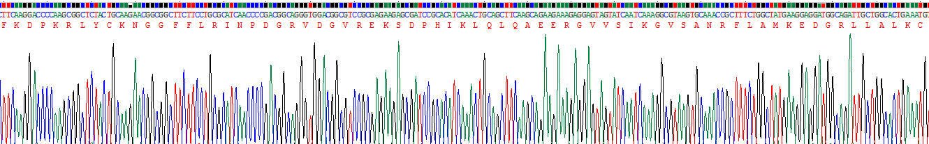 Recombinant Fibroblast Growth Factor 2, Basic (FGF2)